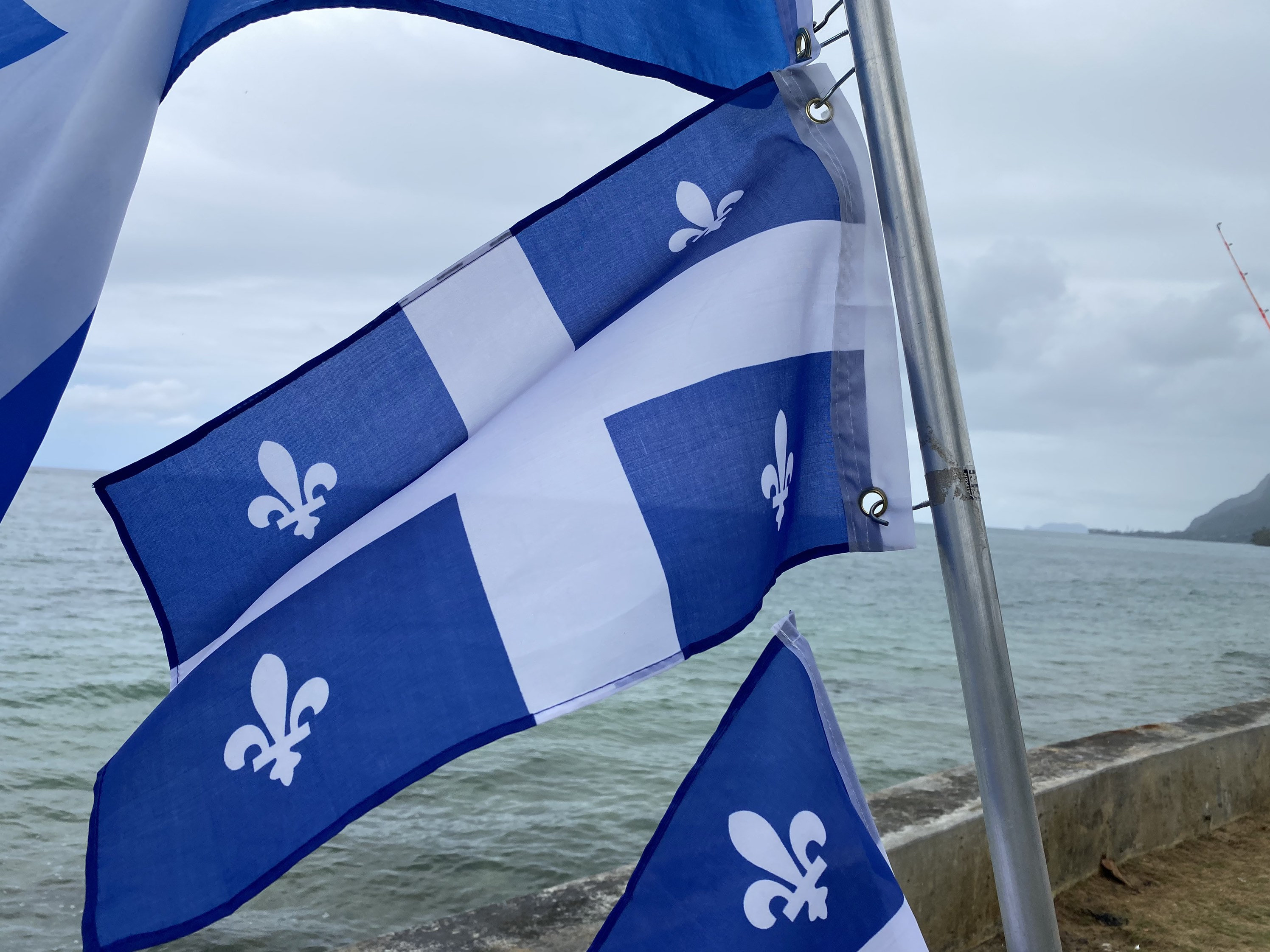 Drapeau du Québec - Etsy France