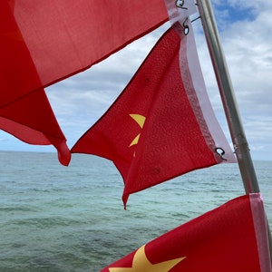 North Vietnam Flag image 4