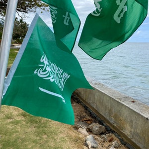 Saudi Arabia Flag image 8