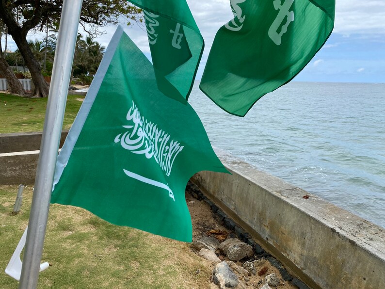 Saudi Arabia Flag image 8