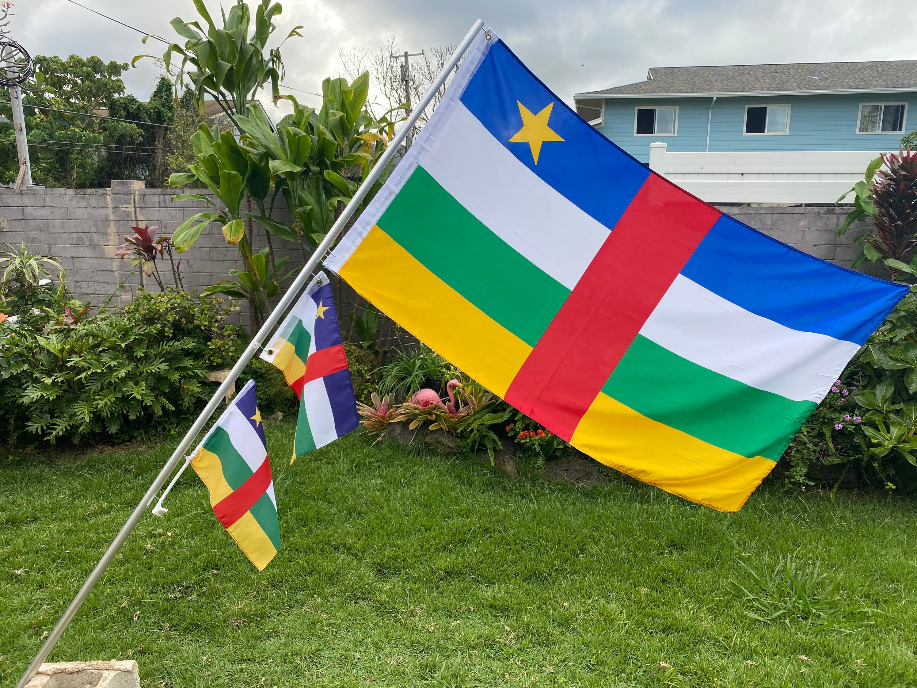 Central African Republic Flag - Etsy
