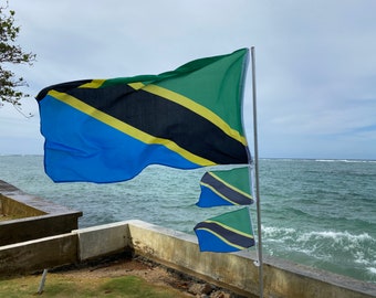 Tanzania Flag