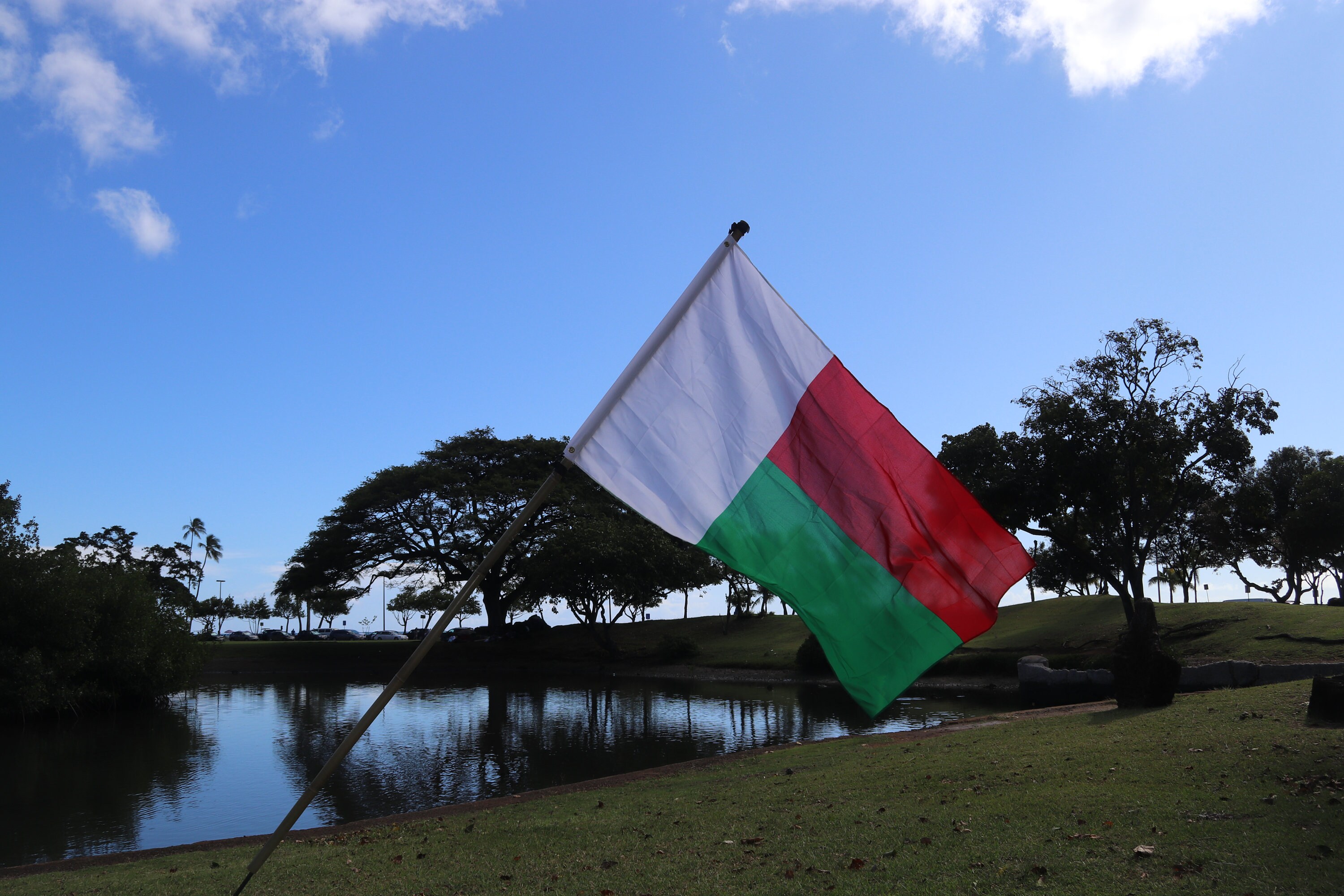 Madagascar Flag - Etsy