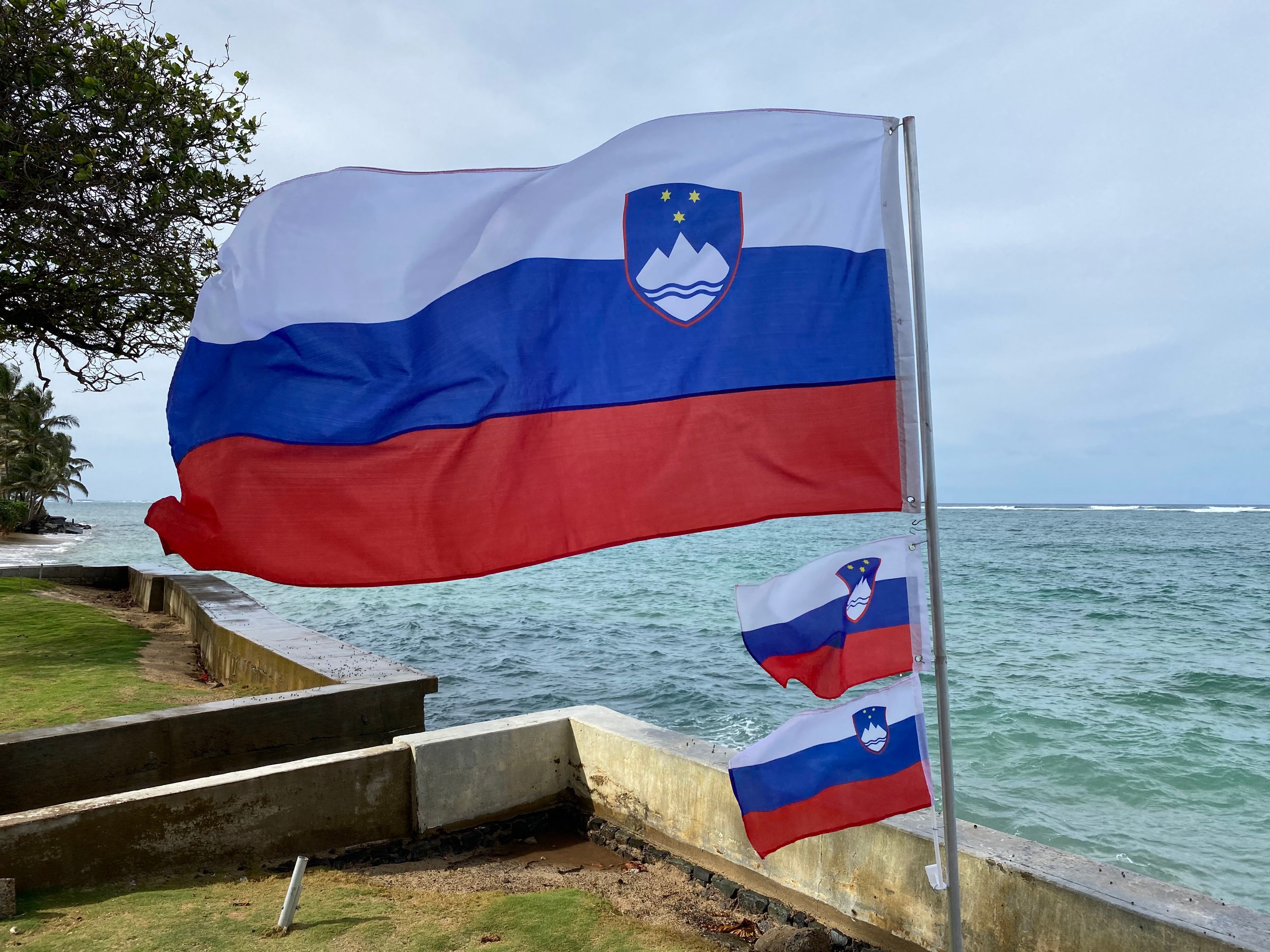 Slovenia Flag