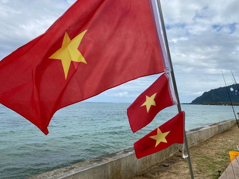 North Vietnam Flag image 1