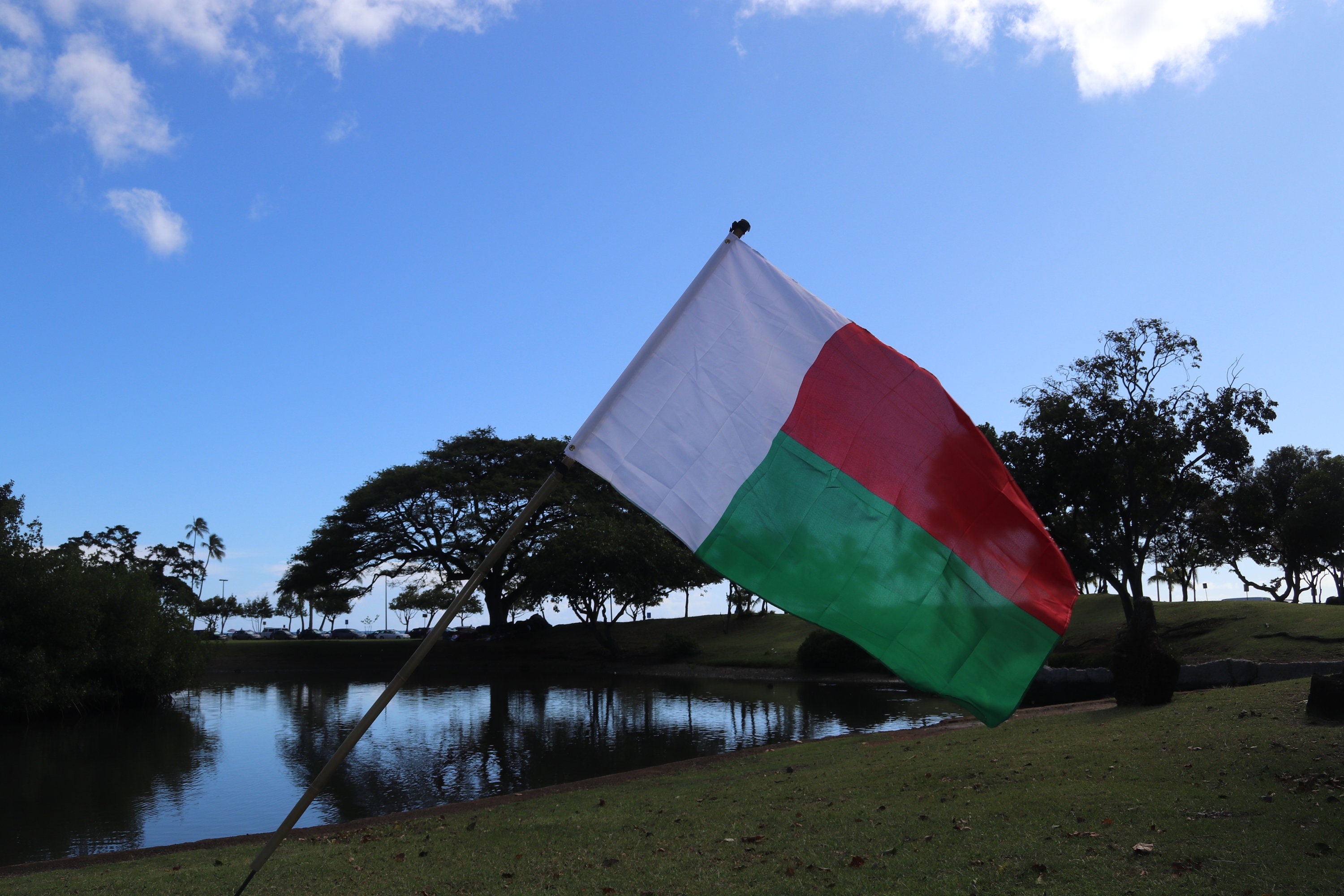 Madagascar Flag - Etsy