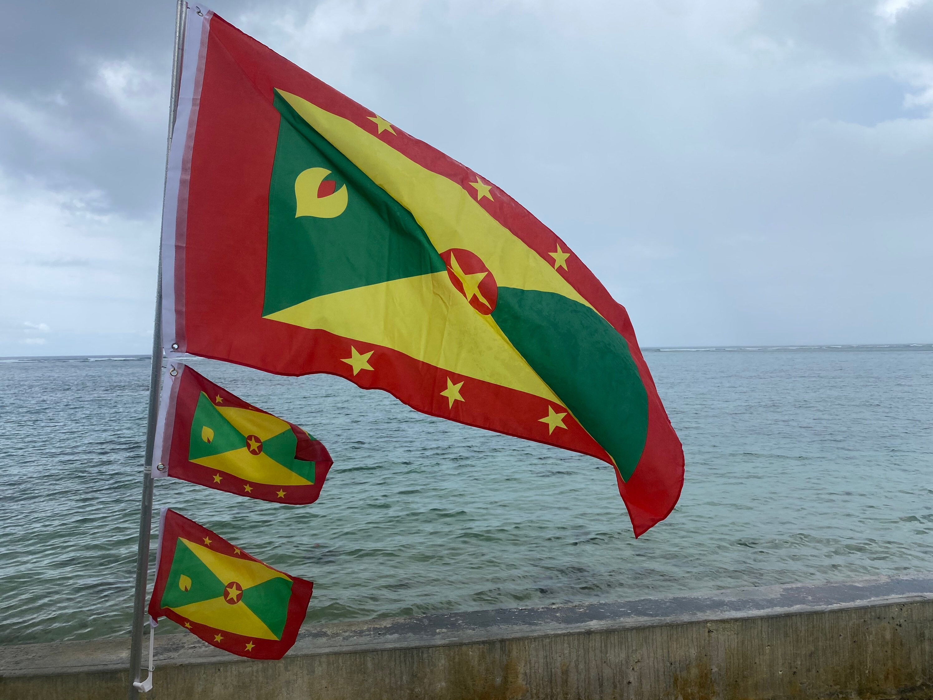  Galaxy S10+ Soca Vibes Grenada Flag Grenadian