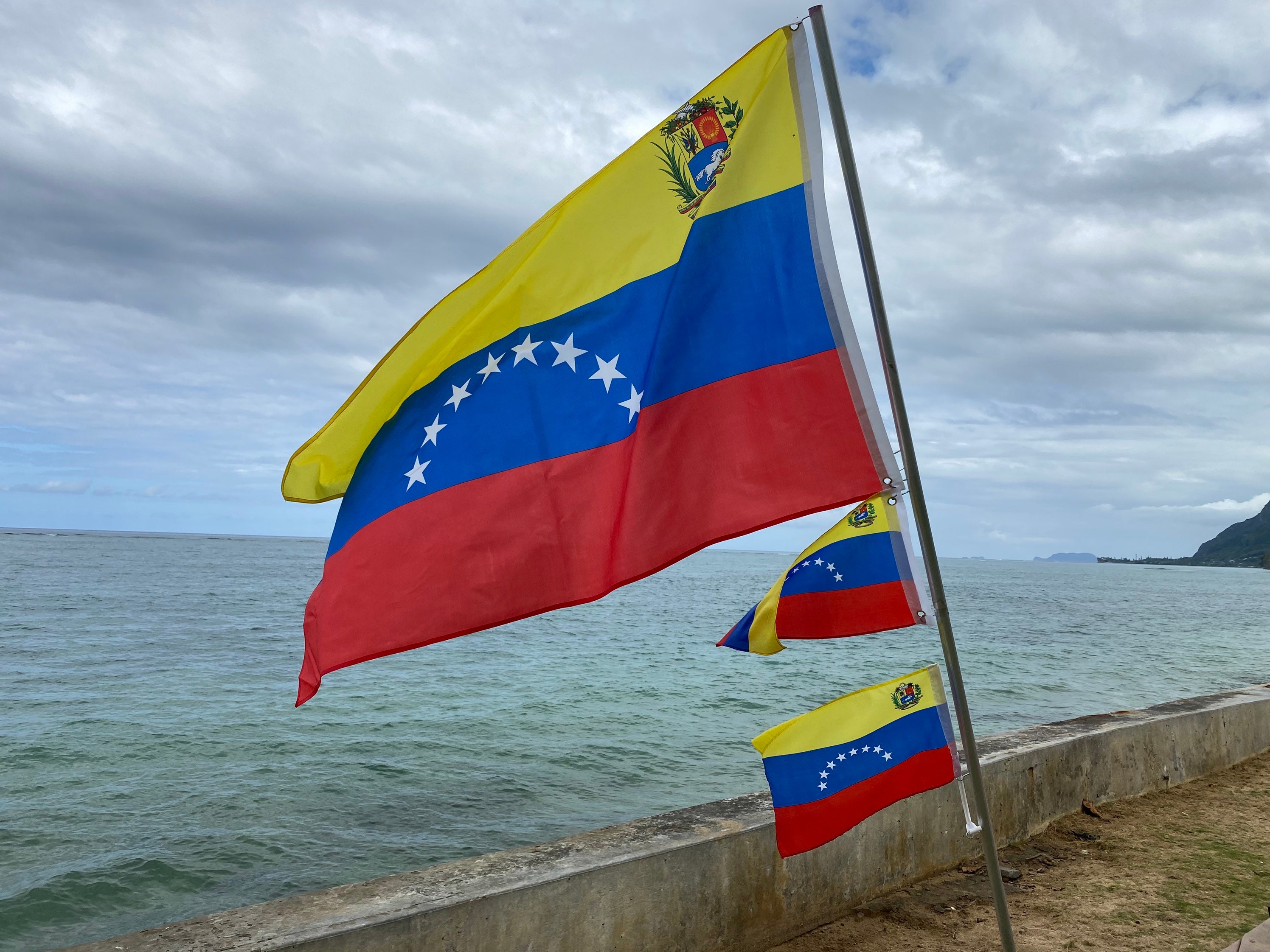 Venezuela Flag Etsy