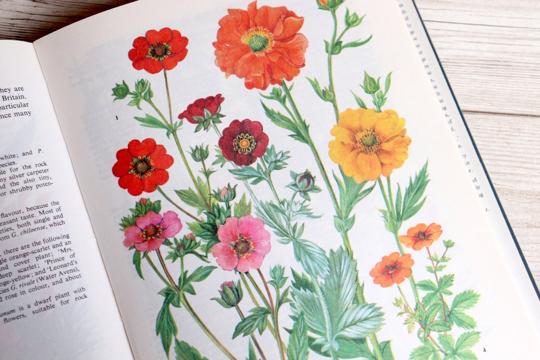 Illustrated the Oxford Book of Garden Flowers Botanical Etsy