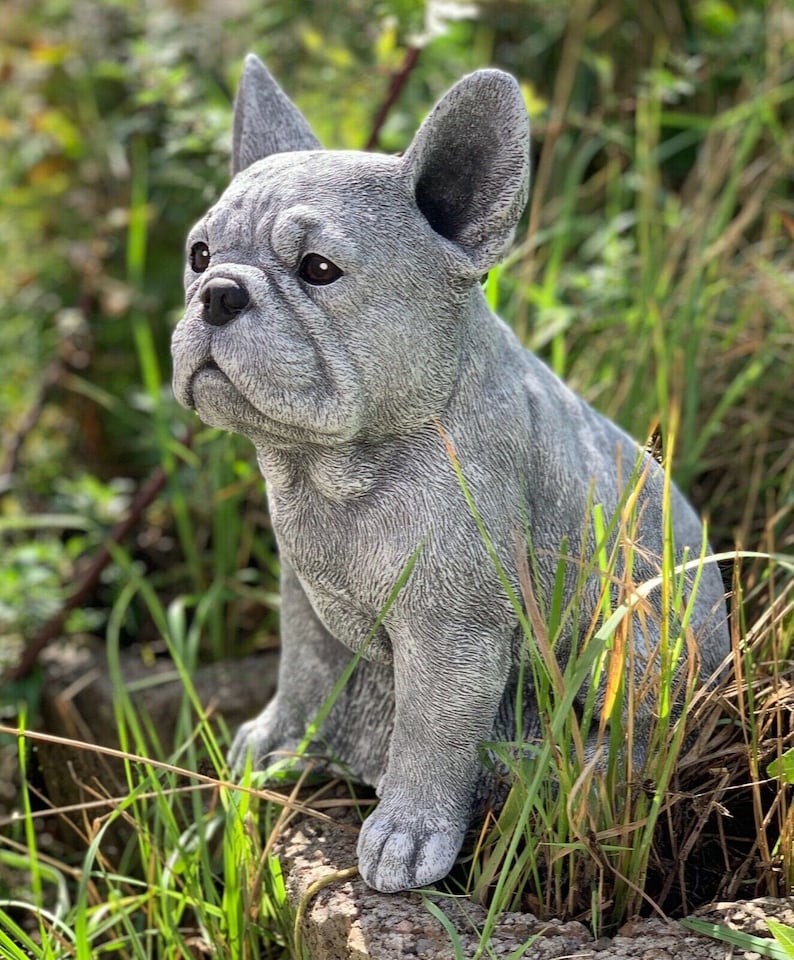 Honey Beautiful French Bulldog Big Statue Frenchie Concrete image 0