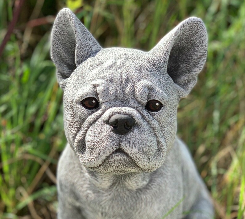 Hunaja Kaunis ranskanbulldoggi iso patsas Frenchie Betonikuva 4