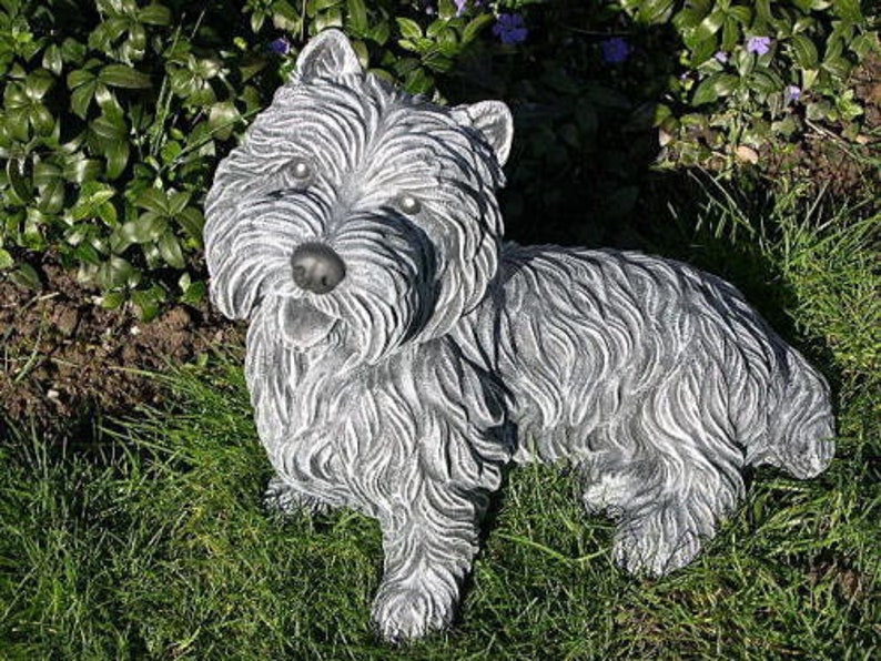 polo and shorts outfit