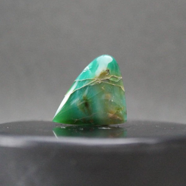 Blue opalized wood cabochon