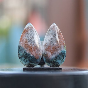 Opalized wood pair multycolor