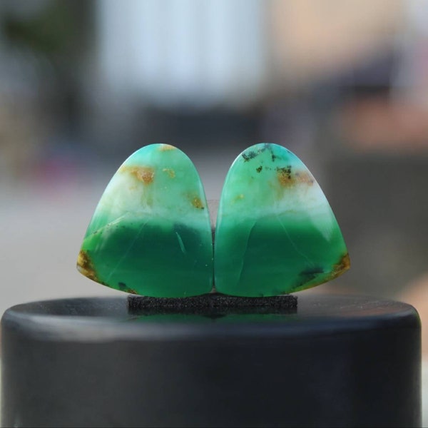 Blue opalized wood pair
