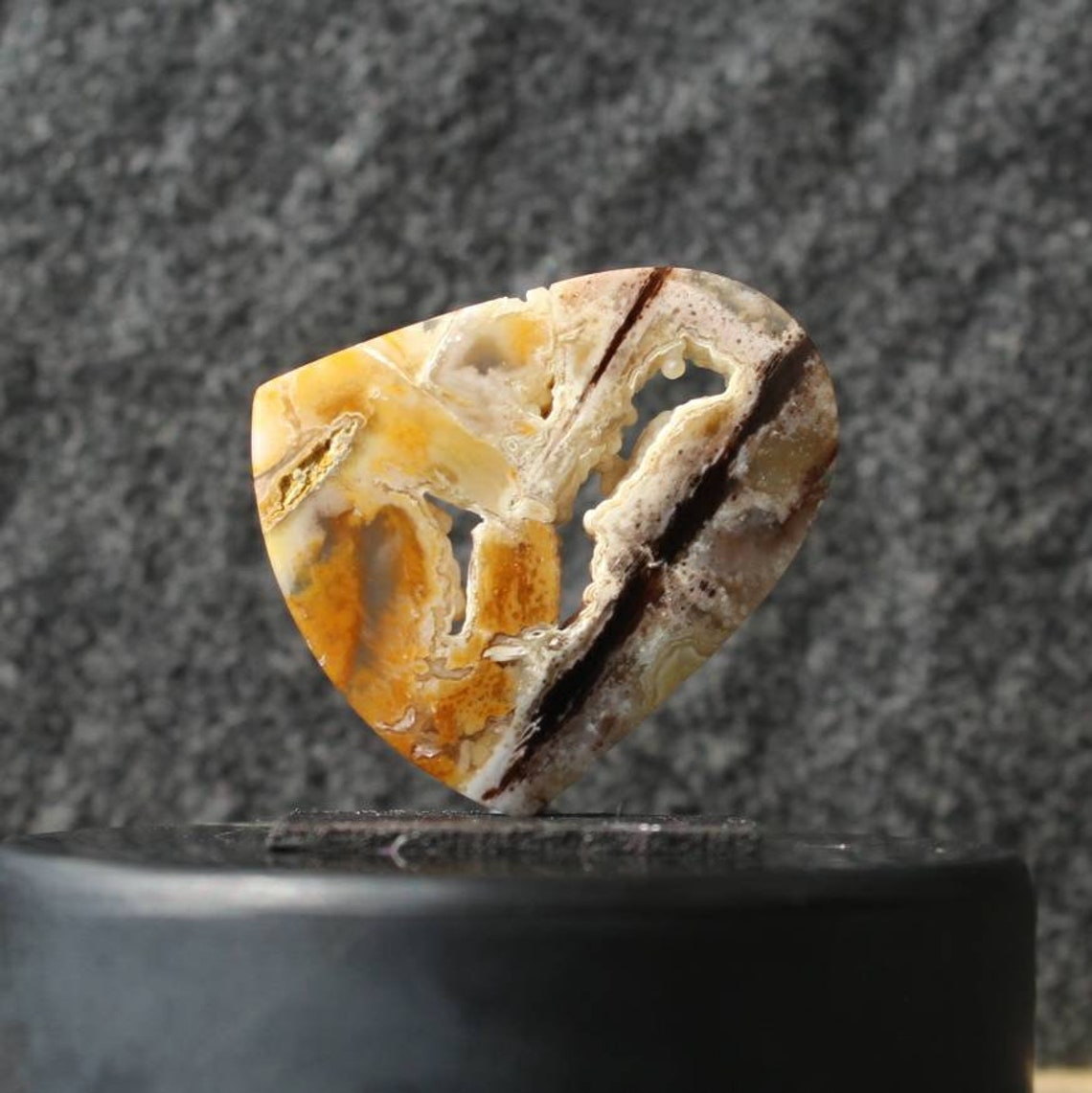 Opal Petrified Wood Cabochon Rare Etsy