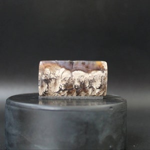 Plume agate cabochon