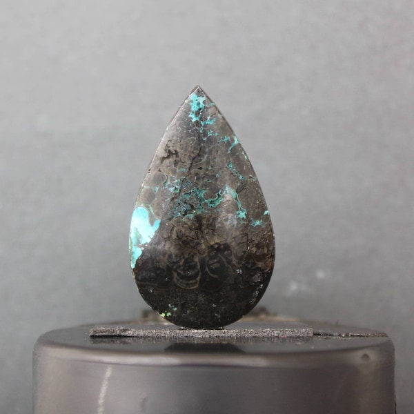 Opalized wood cabochon