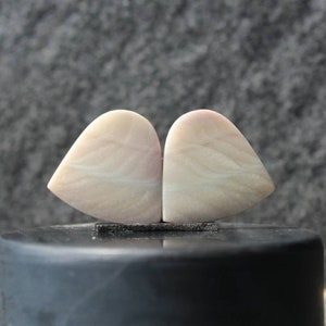 Pink petrified wood pair
