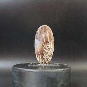 Plume agate cabochon