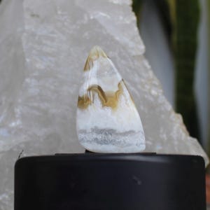 Plume agate cabochon