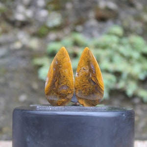 Moss agate pair