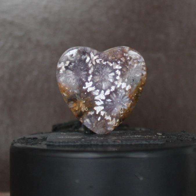 Fossil coral cabochon