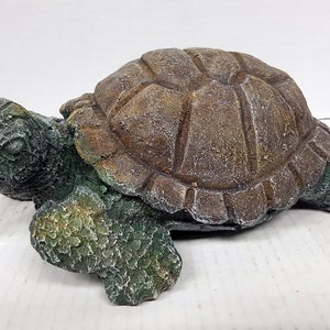 Buy turtles online on sale