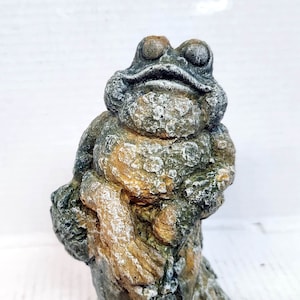 Funky Toad, 7 in., Toad on Stump, Concrete Toad, Garden Toad, Happy Toad, Toad Sitting, Stump Toad