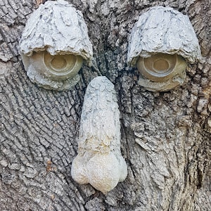 Tree Face,  Concrete Tree Face, Forest Face, Garden Face Sculpture, Whimsical TreeMan,  AvtechStonegallery