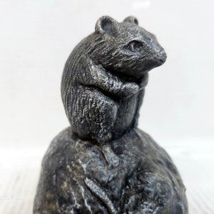 Mouse on Rock, Concrete Mouse, Garden Mouse, Gordan Mouse, Field Mouse, Statue of Mouse,