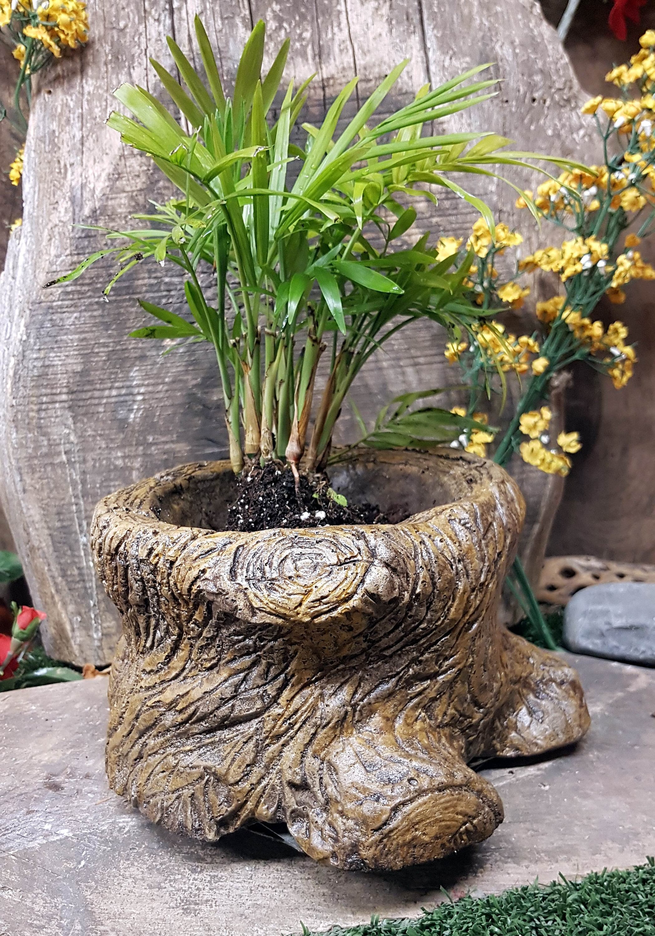 Tree Stump Planter, 5 in.(13cm), Conc...