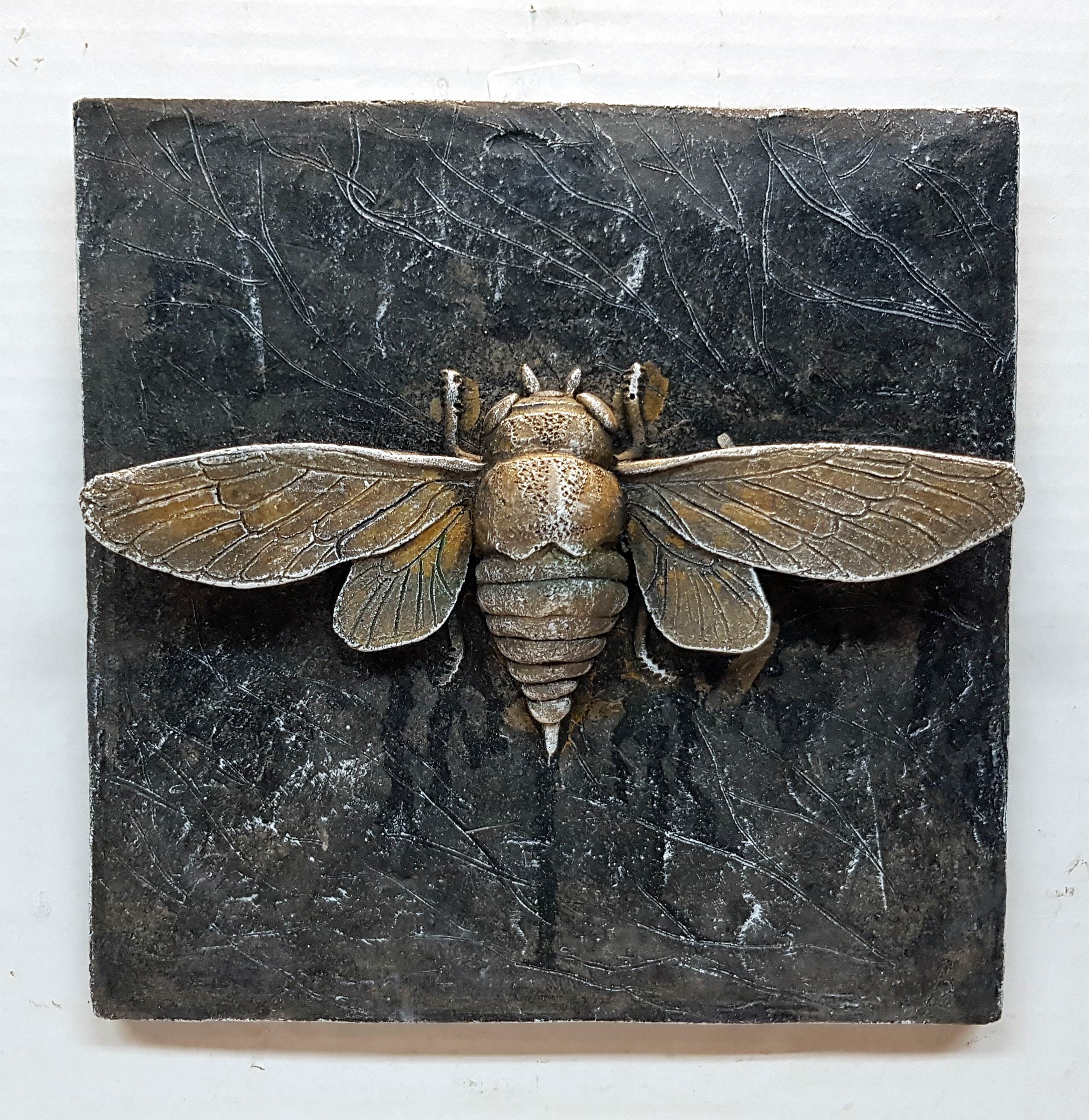 Concrete Bug Plaques 7 in. 14 cm Cicada Plaque Ladybug Etsy