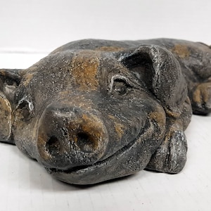 Sleepy Pig, Concrete Pig, 13 in.(33cm), Pig Statue, Wild Hog, Garden Pig, Concrete Statue, AvtechStoneGallery