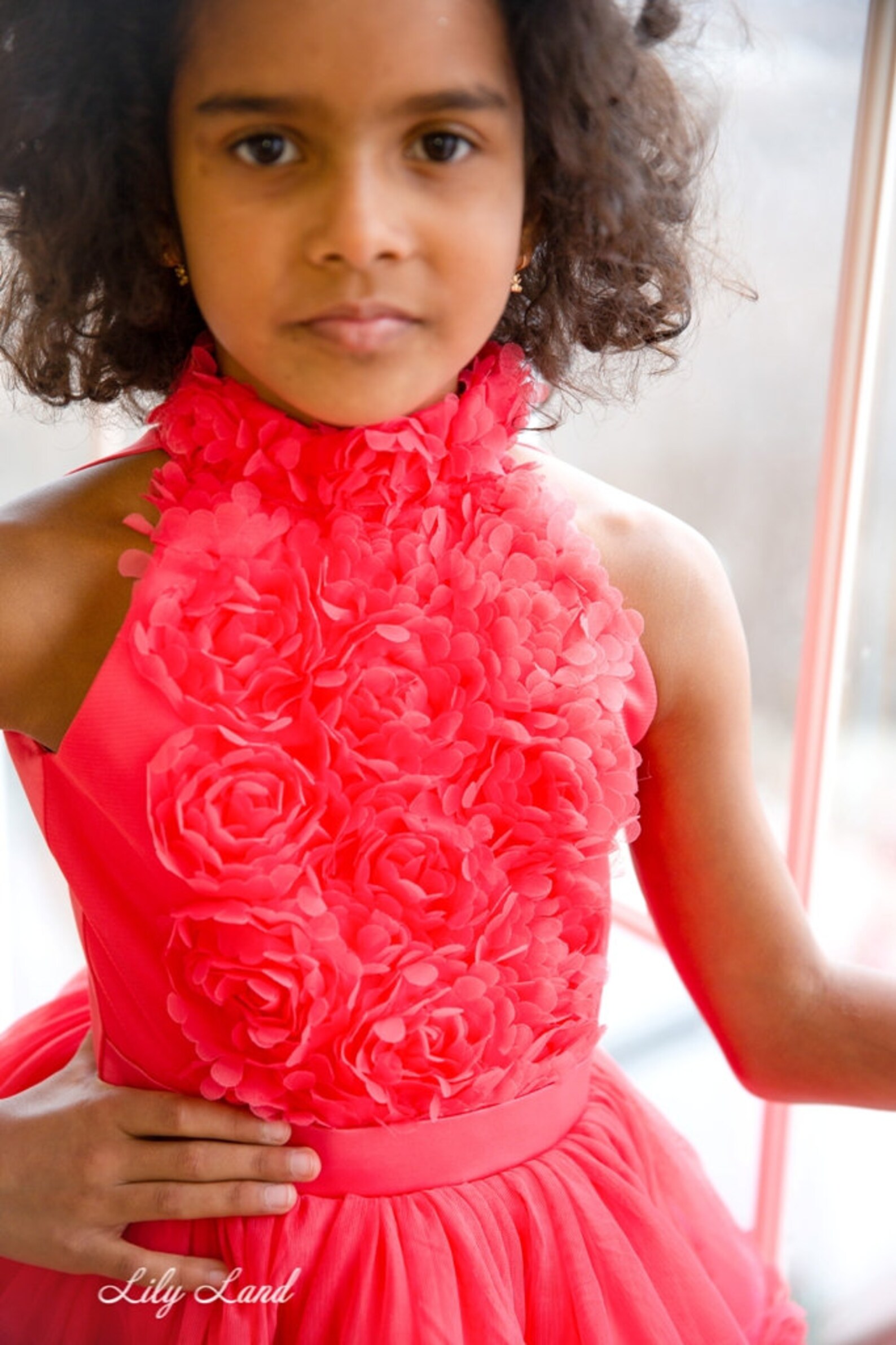 Flower girl dress birthday baby girl dress dress with Etsy