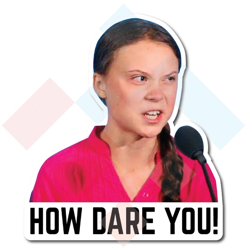 Greta Thunberg How Dare you Bumper Sticker | Etsy