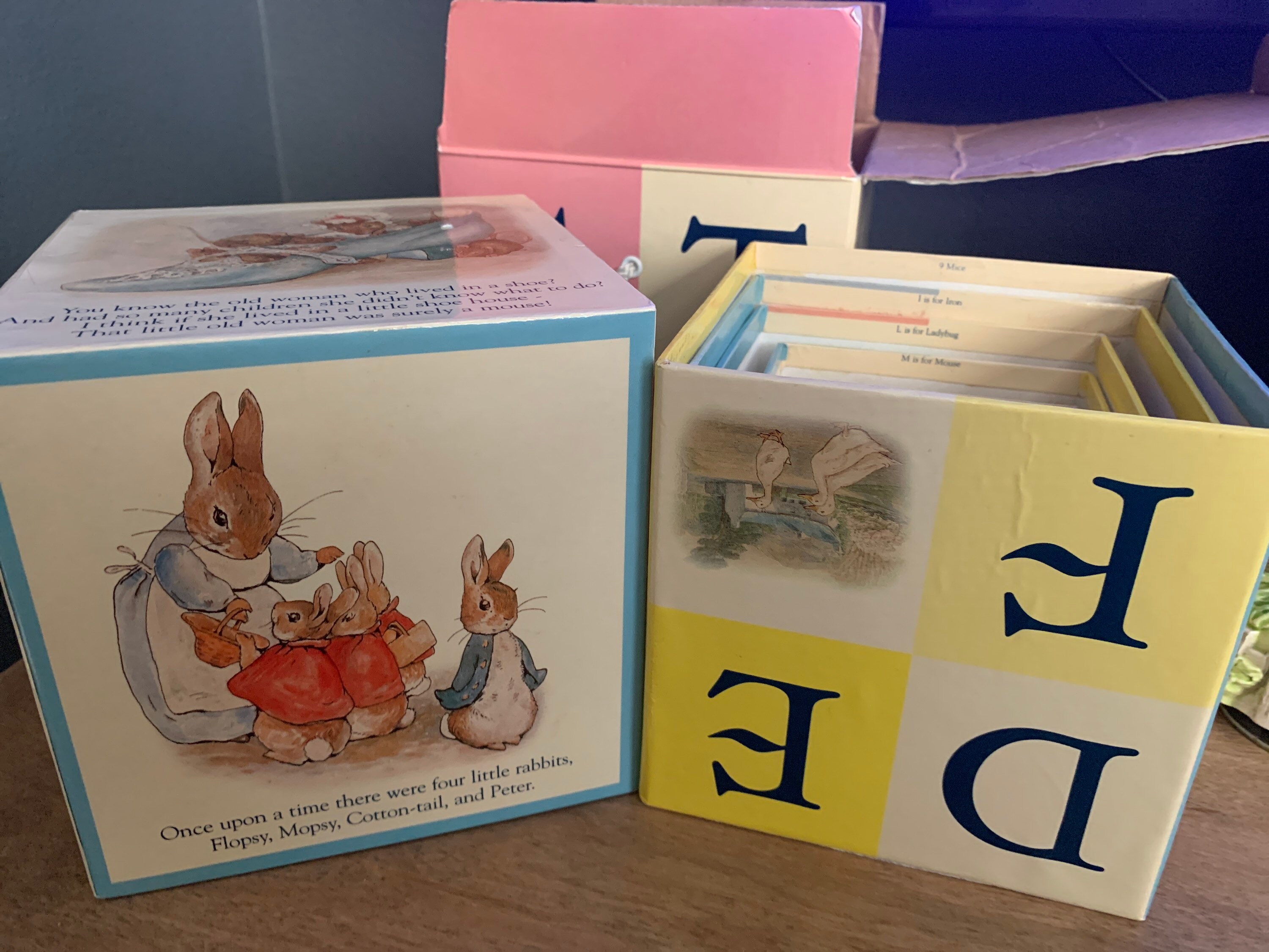 Peter Rabbit Laminated Building Blocks and Book - Etsy