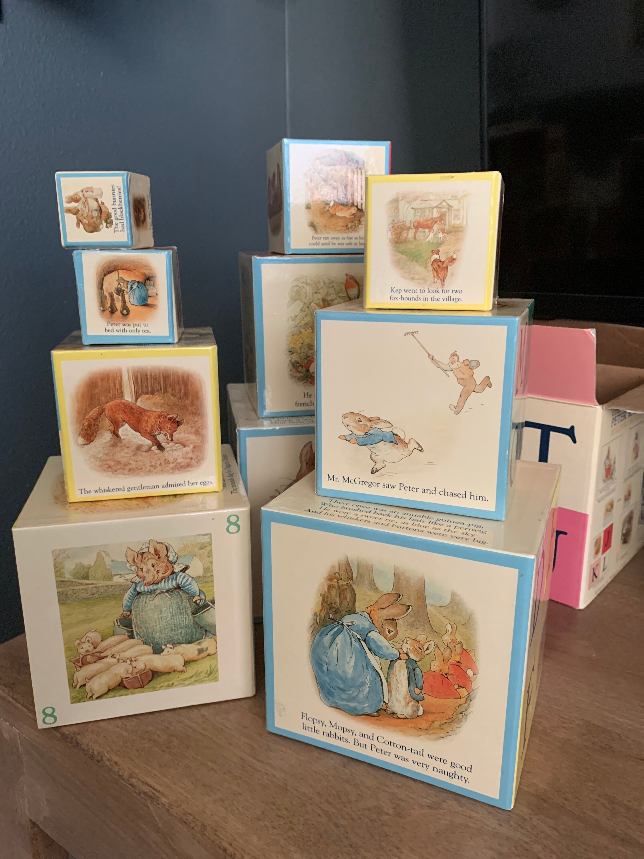 Peter Rabbit Laminated Building Blocks and Book - Etsy