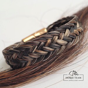 May include: A braided bracelet made from horsehair in shades of brown, black, and white. The bracelet has a gold clasp and is shown on a strand of horsehair.