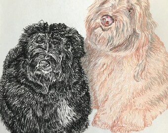Custom Pet Illustrations - Black & White - Color