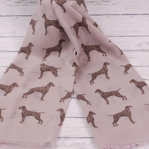 dog conditioner oatmeal