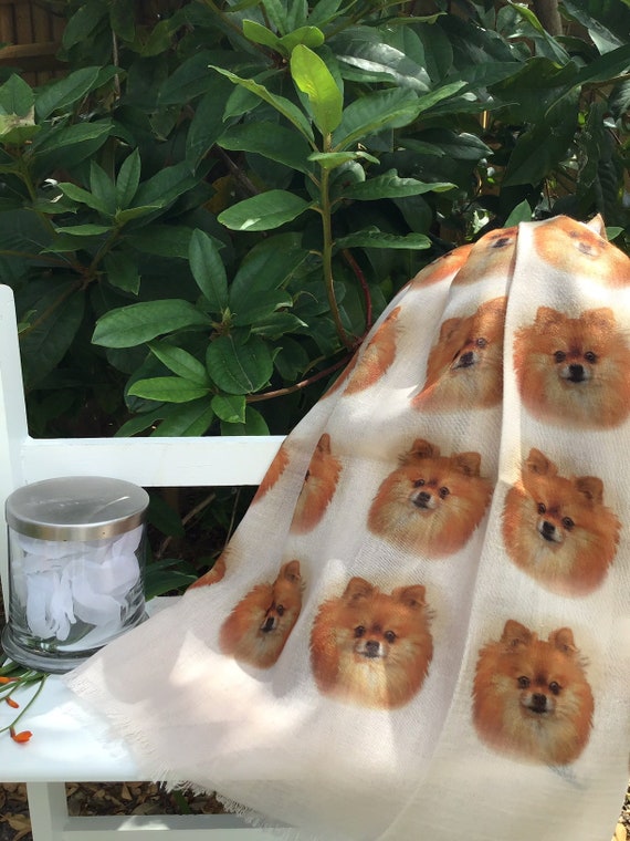 pomeranian scarf