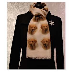 Yellow Labrador scarf with dogs on - Labrador gifts for women - ladies Labrador print scarf - Labrador owner gifts, Yellow Lab