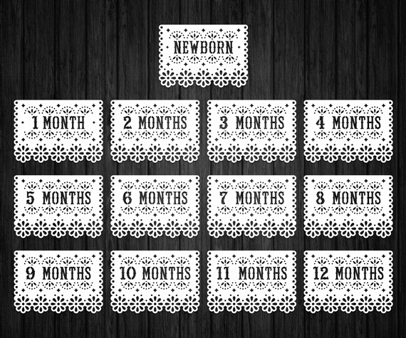 Download 1st Birthday Banner Svg In Papel Picado Style One Year Photo Banner 12 Months Photo Banner Svg Svg Files For Cricut Paper Party Supplies Party Decor Kromasol Com