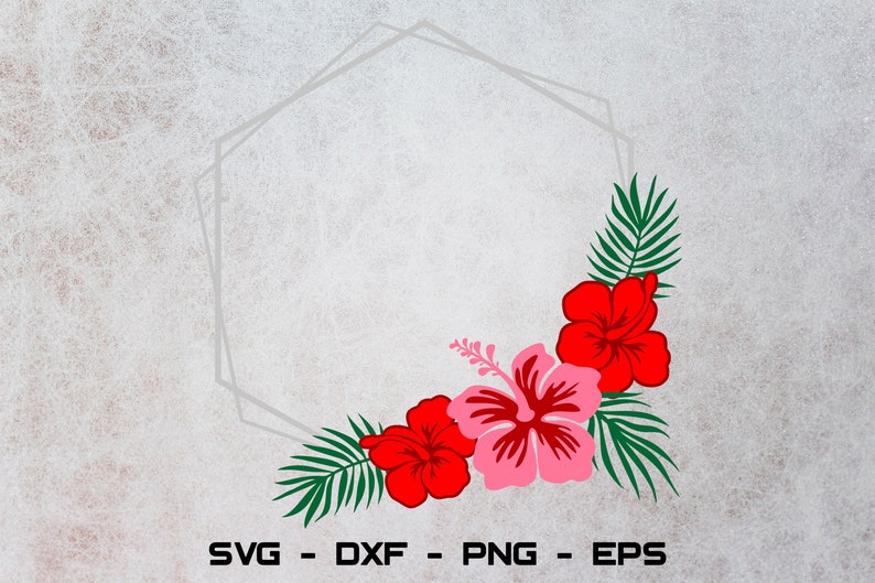 Download Hexagon frame svg Tropical frame svg Hibiscus svg Flower ...
