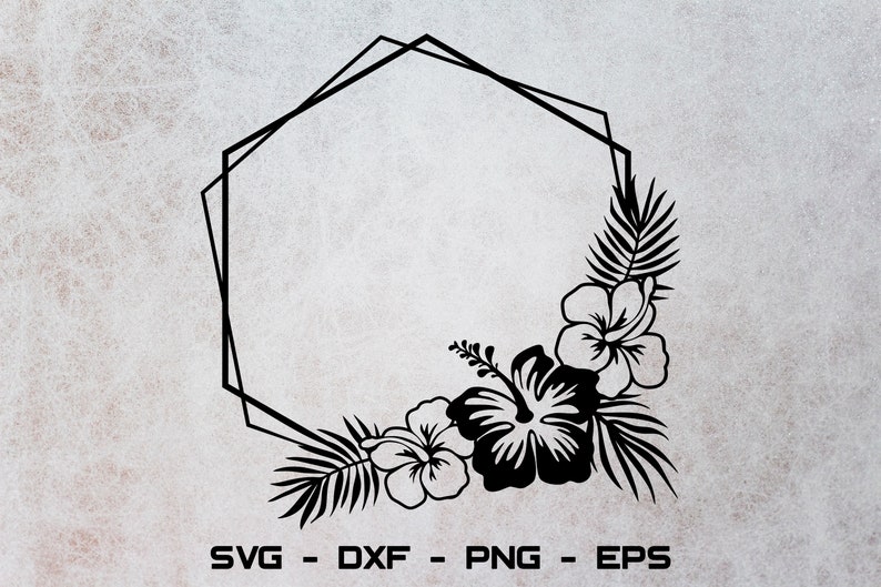 Download Hexagon frame svg Tropical frame svg Hibiscus svg Flower ...