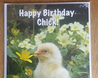 A5 Baby Chick / Chicken Birthday Card