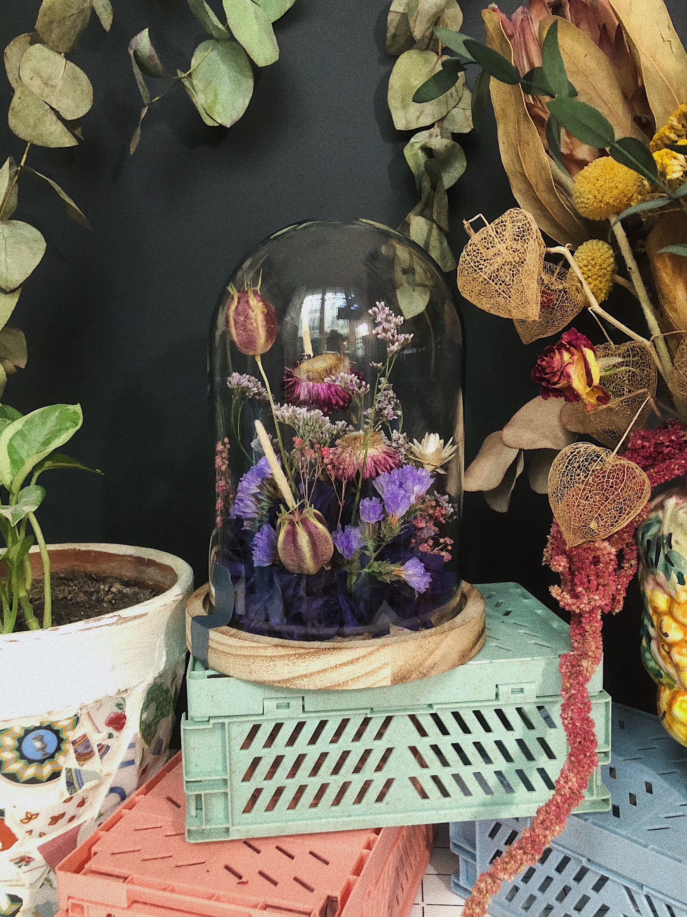 Petite Cloche de Fleurs Séchées Dans Les Tons Violets
