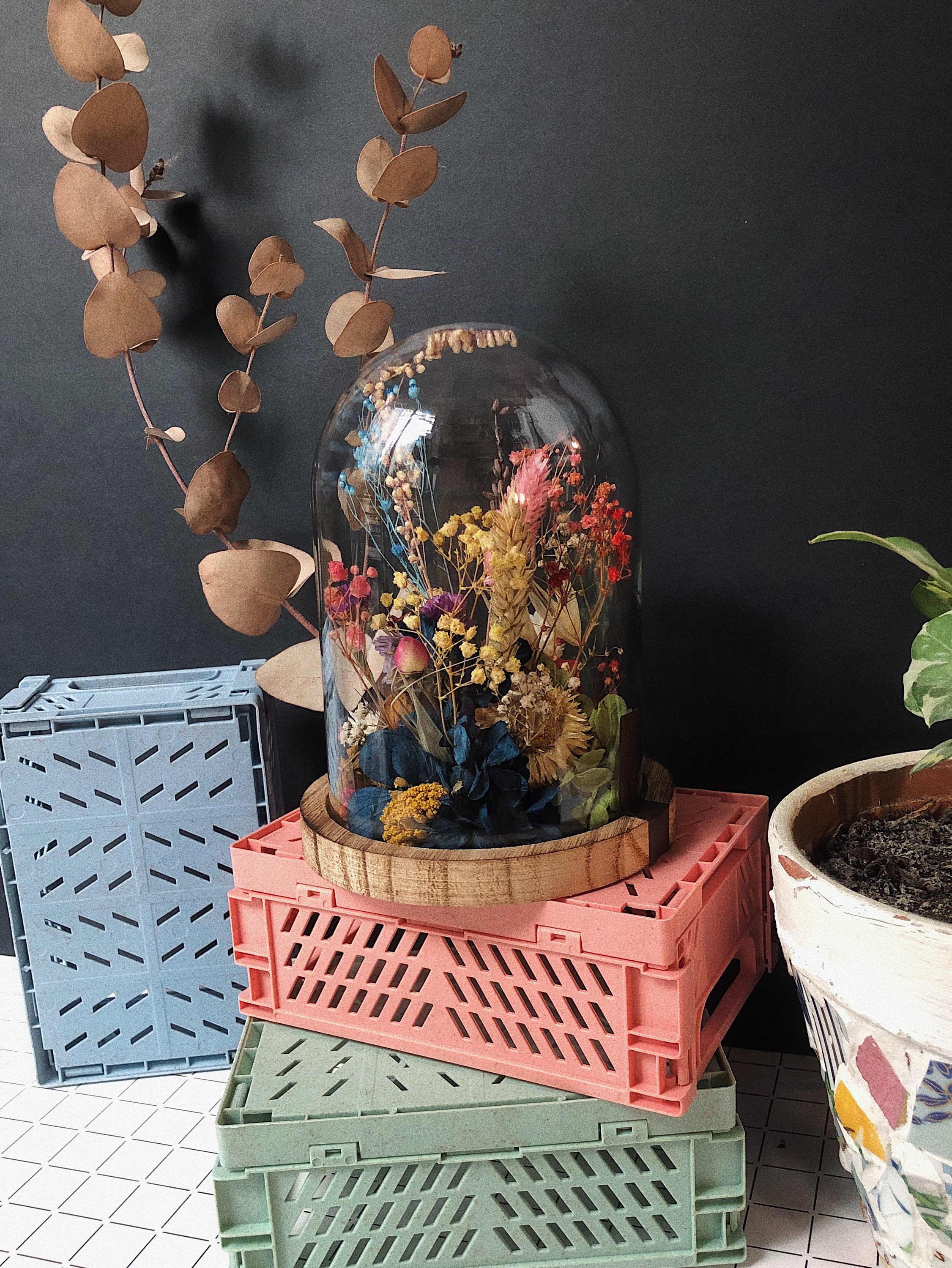 Petite Cloche de Fleurs Séchées Multicolore