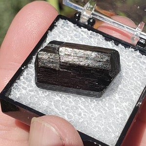 Schorl (Black Tourmaline)
